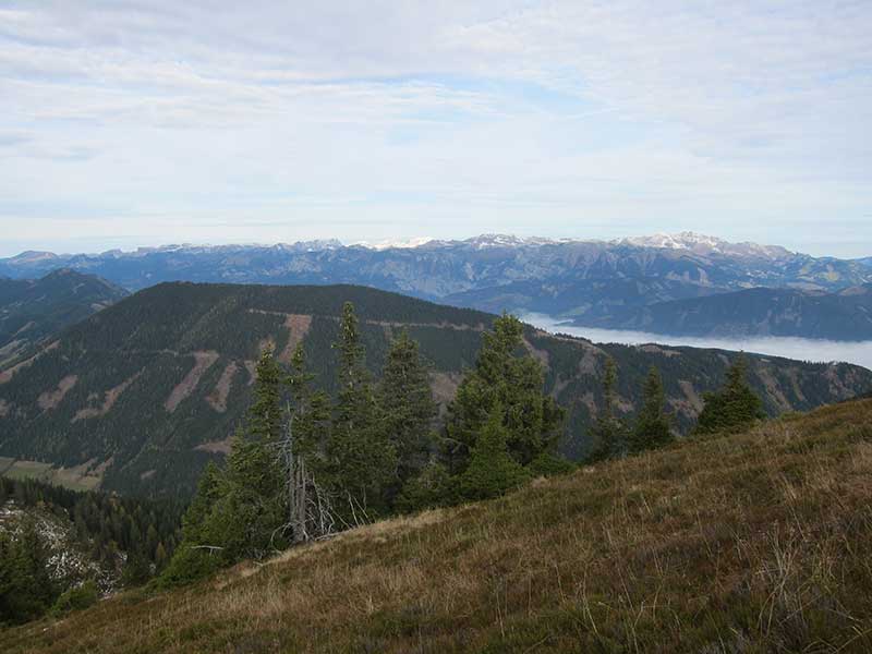 Schuettkogel